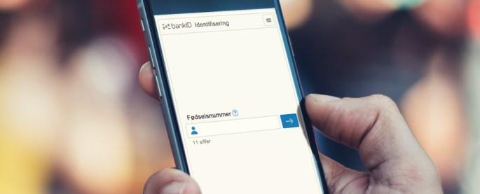 bid_bedrift_problem_960x830